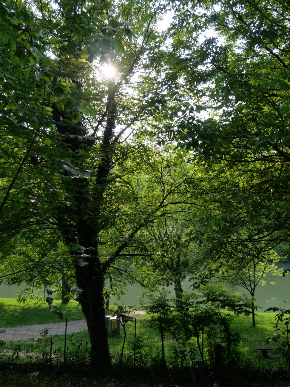 Camping au bord de la rivière d’Ain